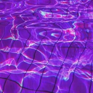 Meet your Posher, Ashly